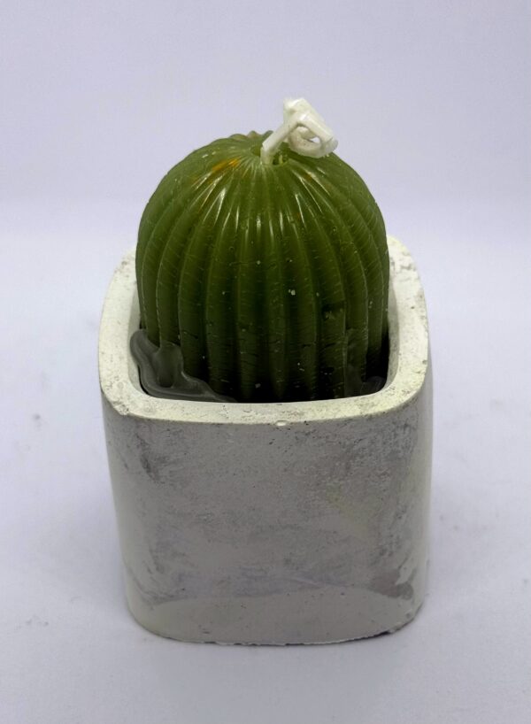 Velas cactus